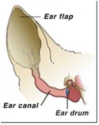 Ear Diagram